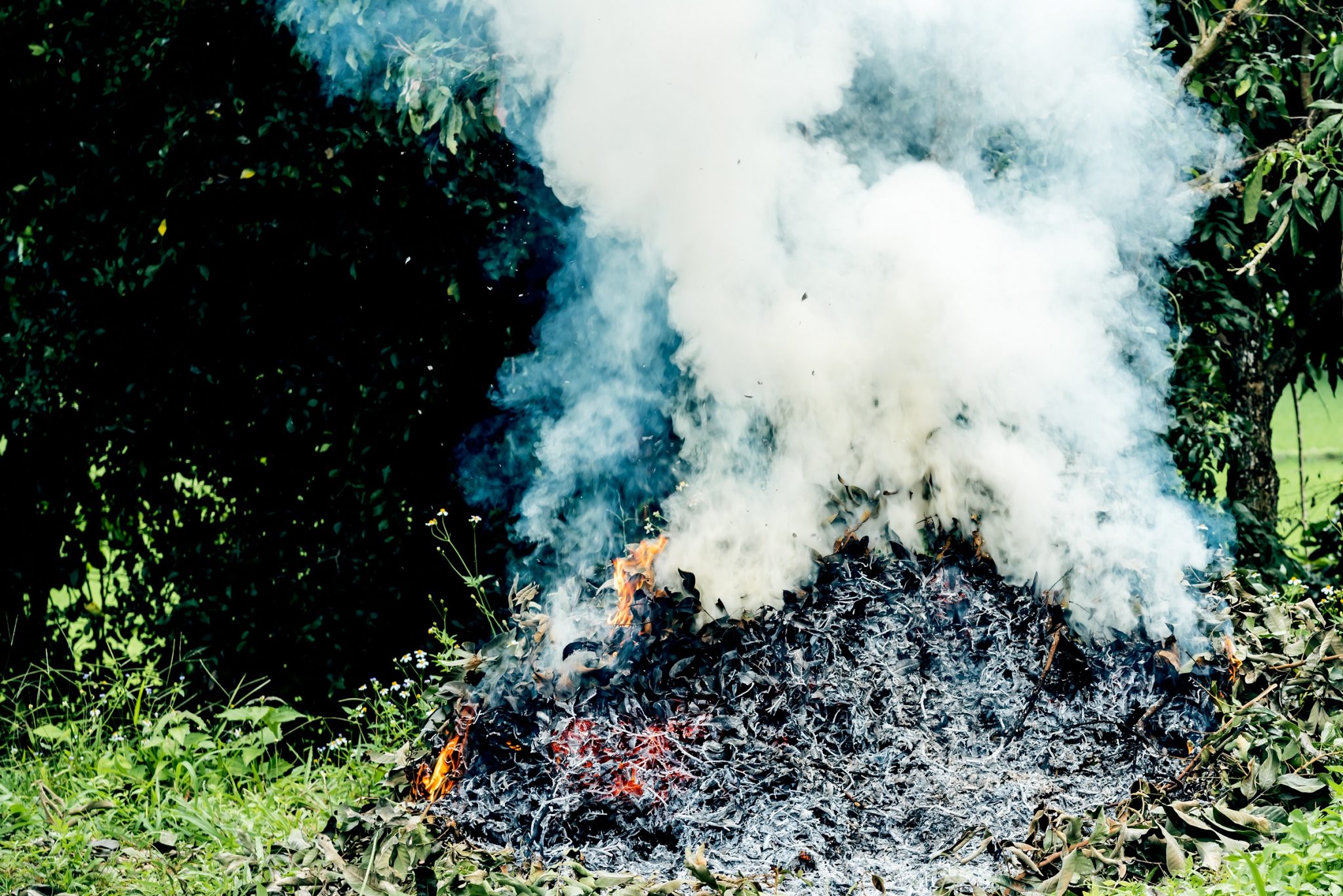 Burn waste. Toxic fumes картинка. Toxic fumes. Burning leaves.